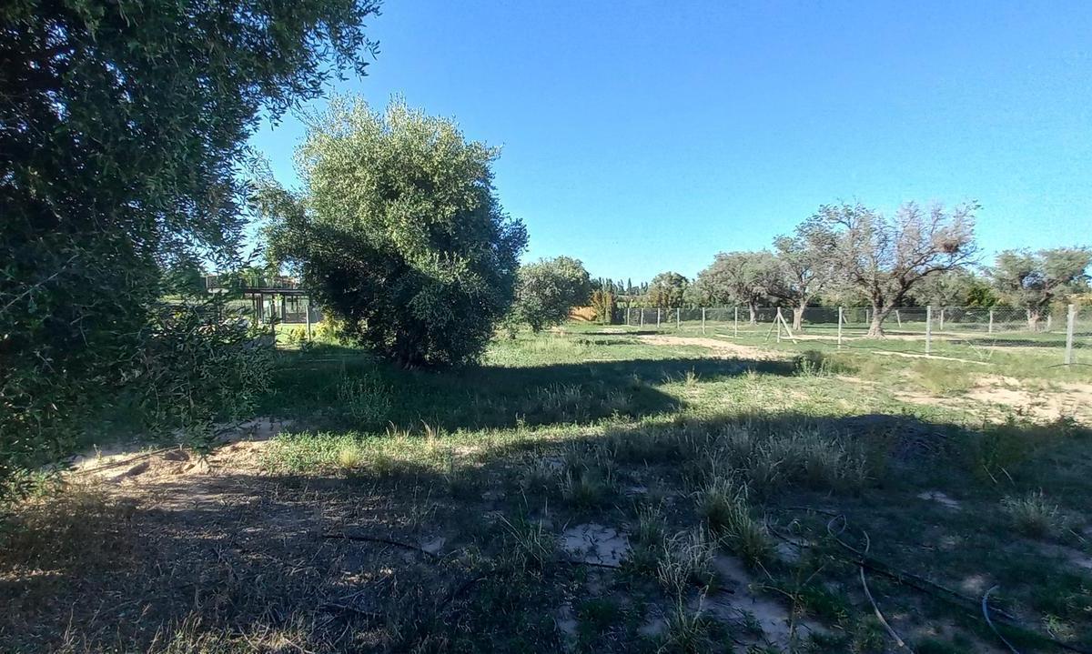 Terreno en Venta Barrio Cerrado Viñas de Ortiz - Vistalba 5