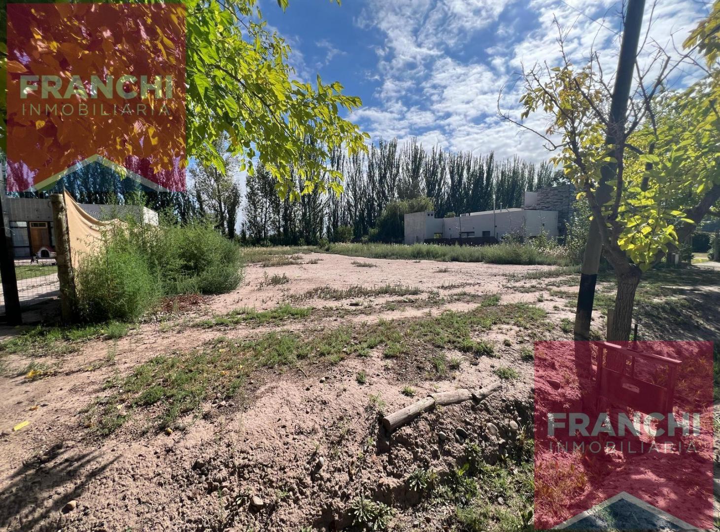 Foto de Terreno en Vistalba, imagen 4