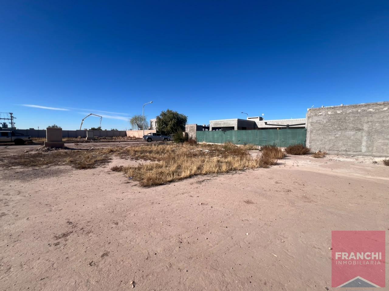 Foto de Terreno en Lujan De Cuyo, imagen 5