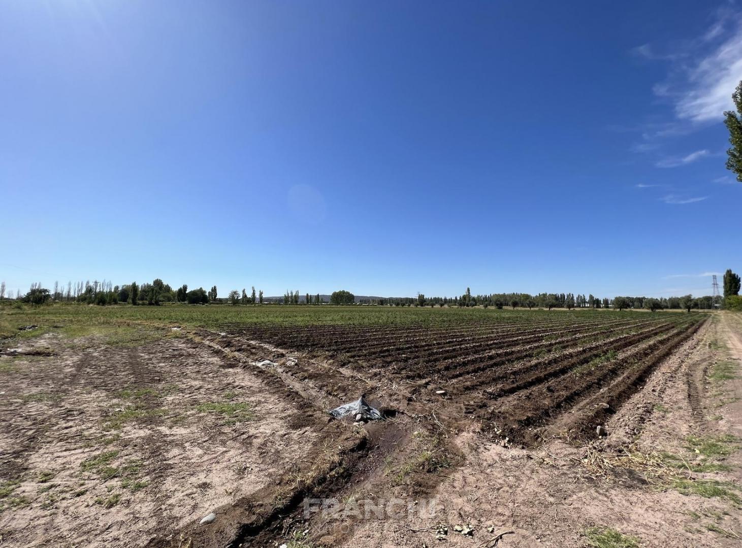 Foto de Terreno ubicado en Callejon Villanueva, imagen 1