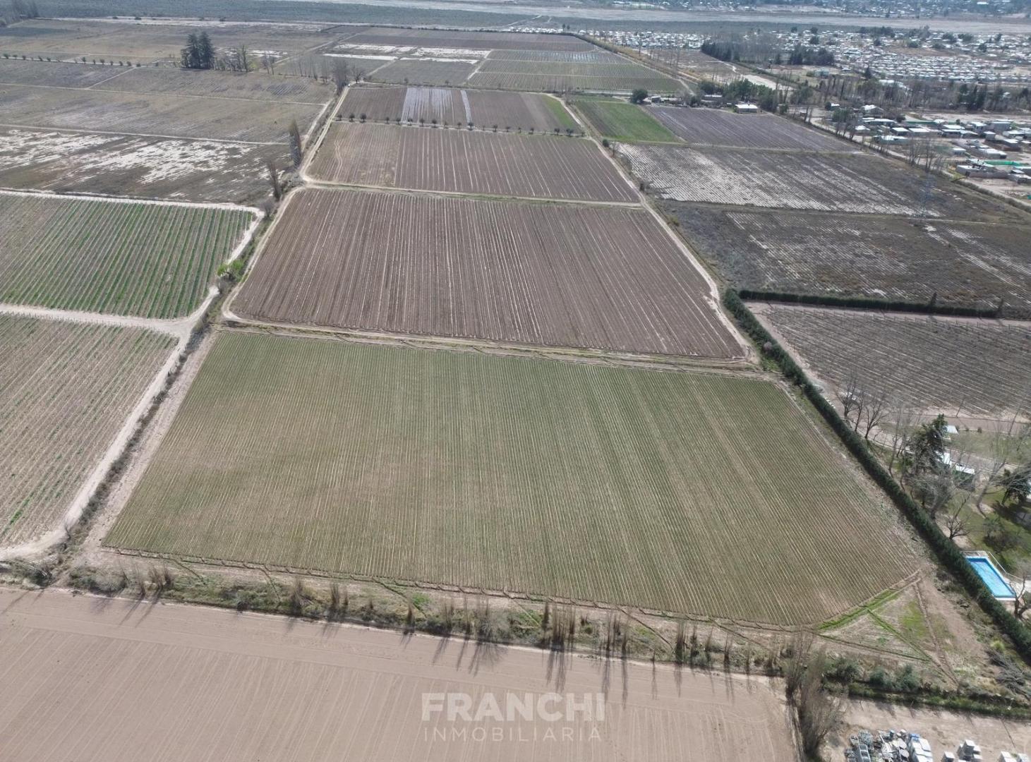 Foto de Terreno ubicado en Callejon Villanueva, imagen 5