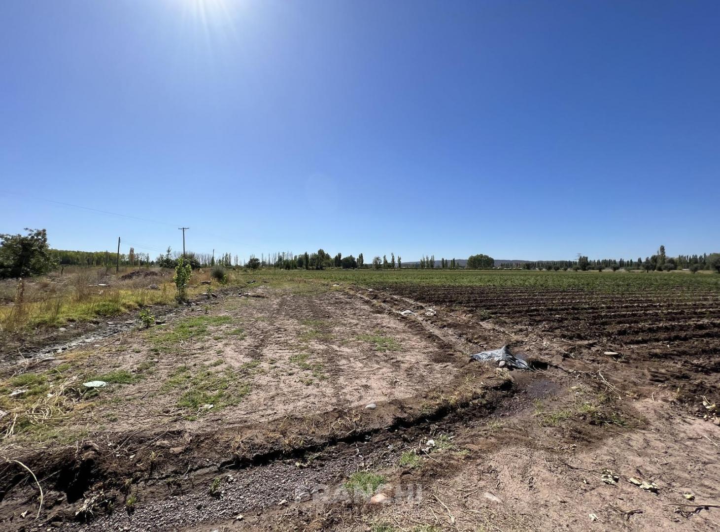 Foto de Terreno ubicado en Callejon Villanueva, imagen 5