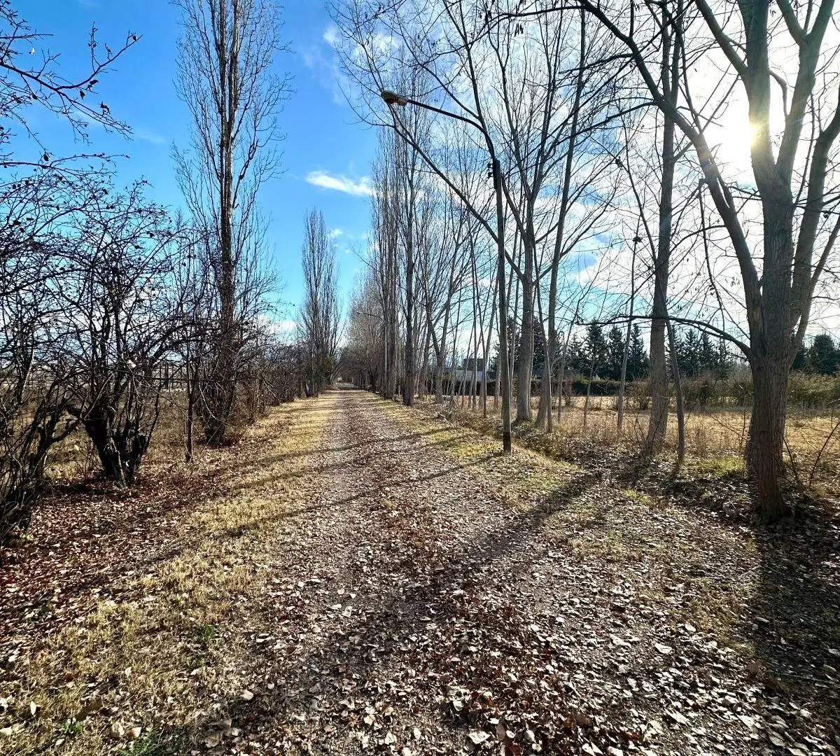 LOTE EN VENTA EN LAS ROSAS COUNTRY RURAL 3