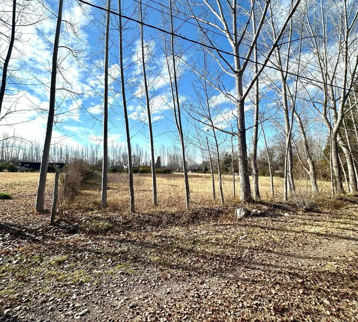 LOTE EN VENTA EN LAS ROSAS COUNTRY RURAL 4