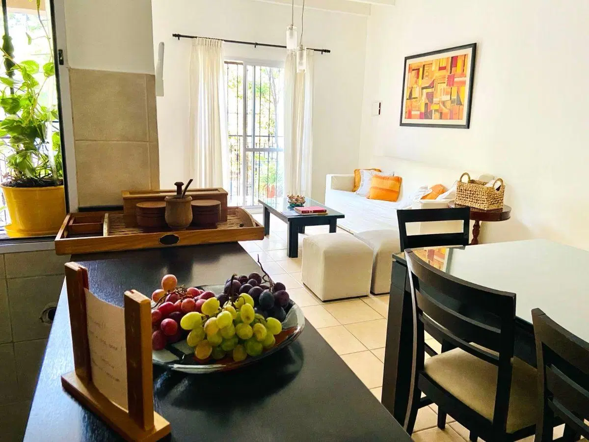 DEPARTAMENTO AMOBLADO EN ALQUILER - GODOY CRUZ 5