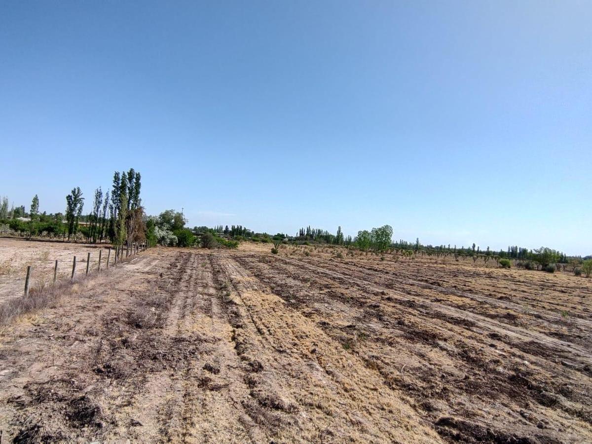 Importante Terreno Agroturistico - Ideal: Viñedos, chacra, Emp. Inmobiliario 5