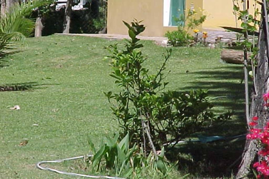 Complejo de Cabañas en Venta 3