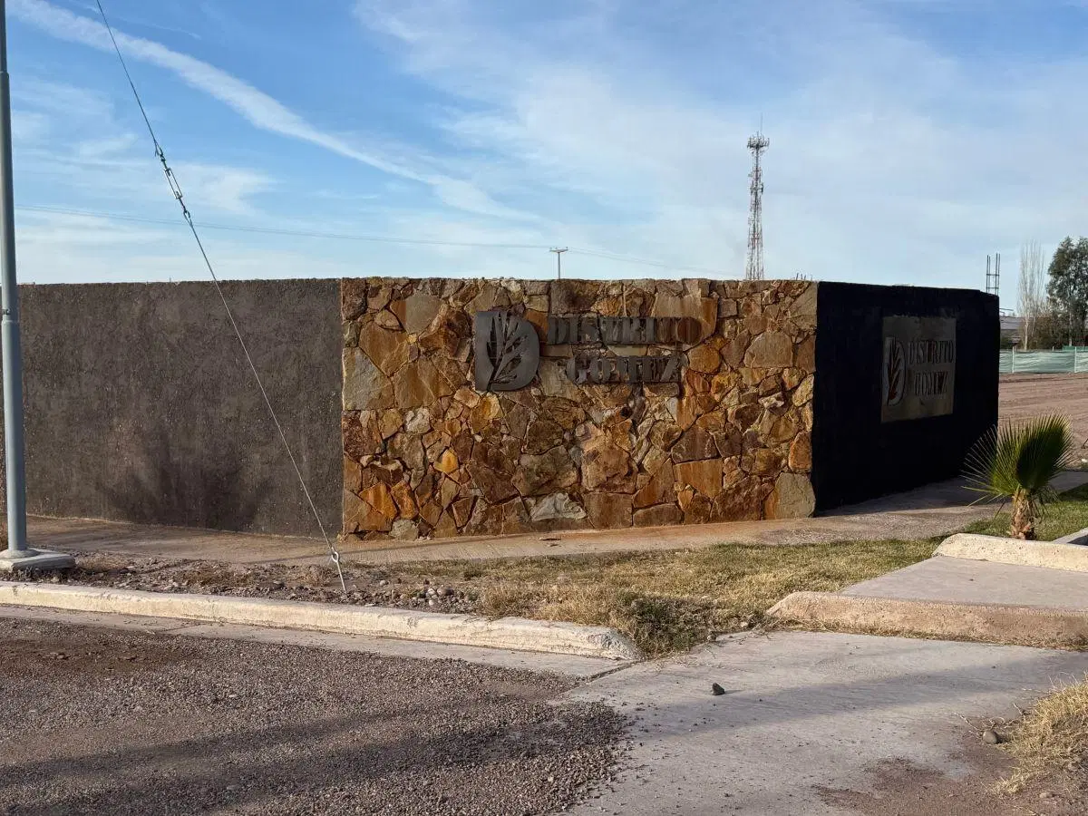 Distrito Gómez Lotes en Venta Coquimbito -Maipú 5