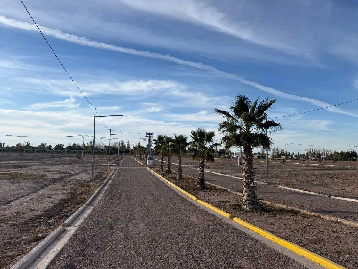 Distrito Gómez Lotes en Venta Coquimbito -Maipú 3