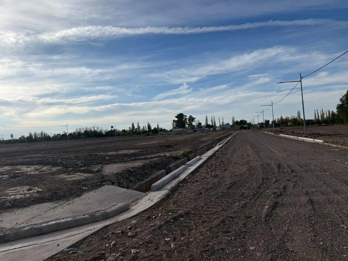 Distrito Gómez Lotes en Venta Coquimbito -Maipú 4