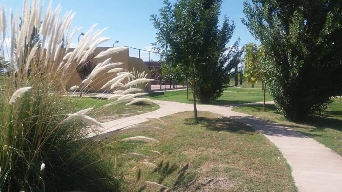 Foto de BARRIO PRIVADO ALAMOS FRAY LUIS BELTRÁN, imagen 3