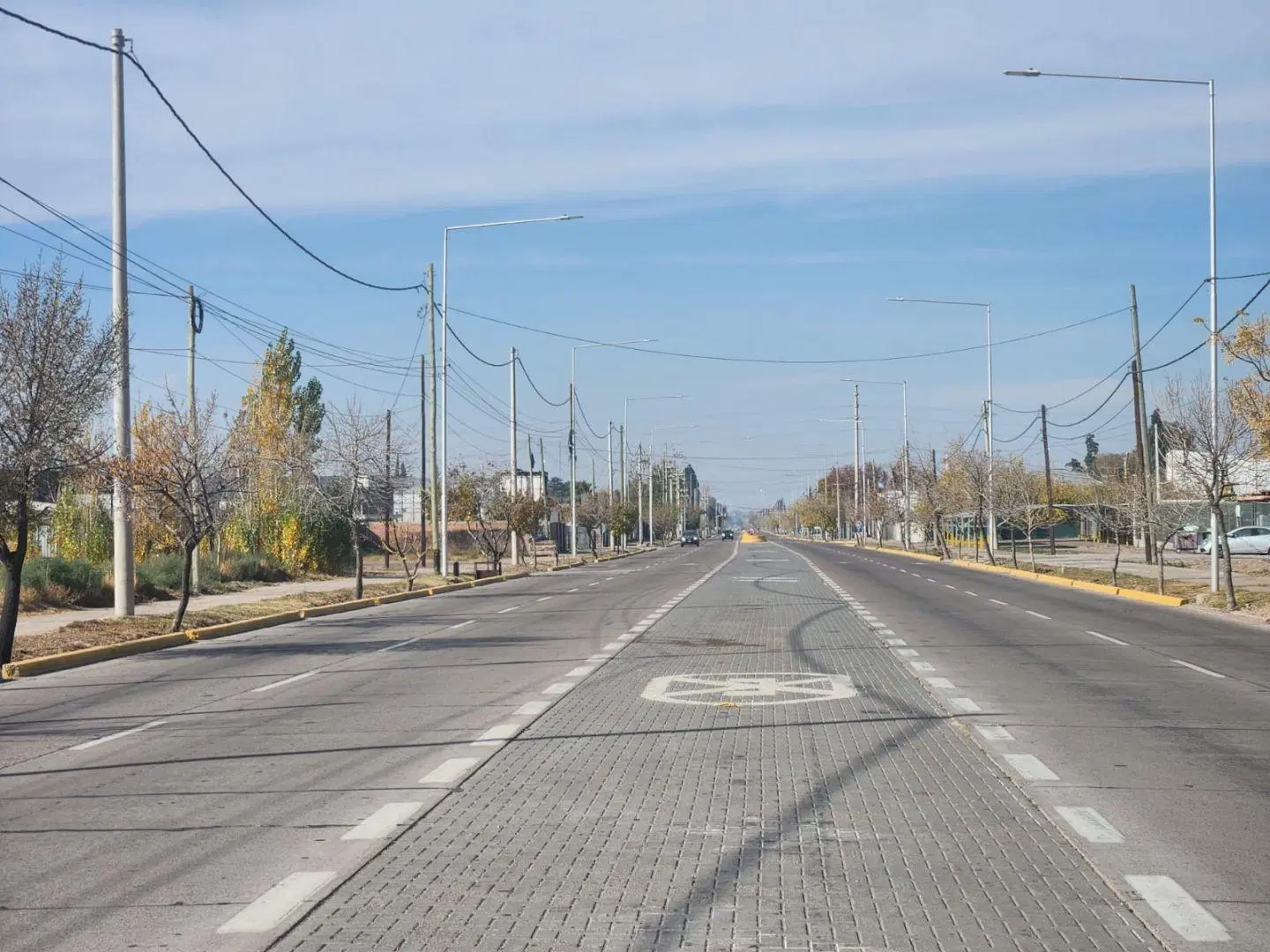 Terreno en Venta Carril Rodríguez Peña, Coquimbito, Maipú 4