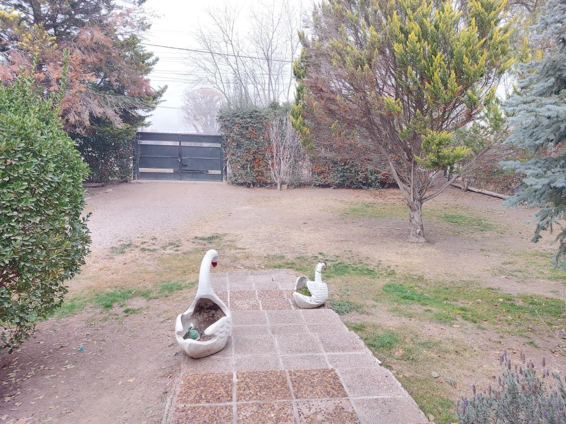 Foto de Casa en Alquiler calle Videla Aranda, Cruz de Piedra, imagen 4