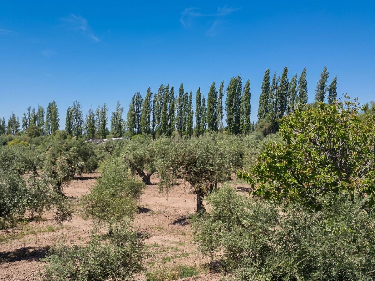 Foto de Finca en Venta, Russell, Maipú, imagen 1