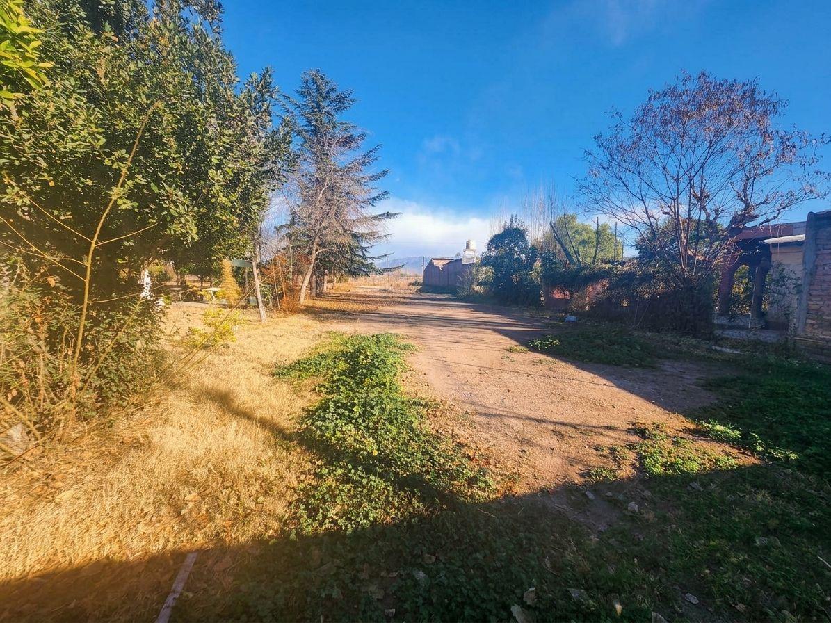 Foto de Terreno en Venta Carril Maza Sur, Cruz de Piedra, imagen 5