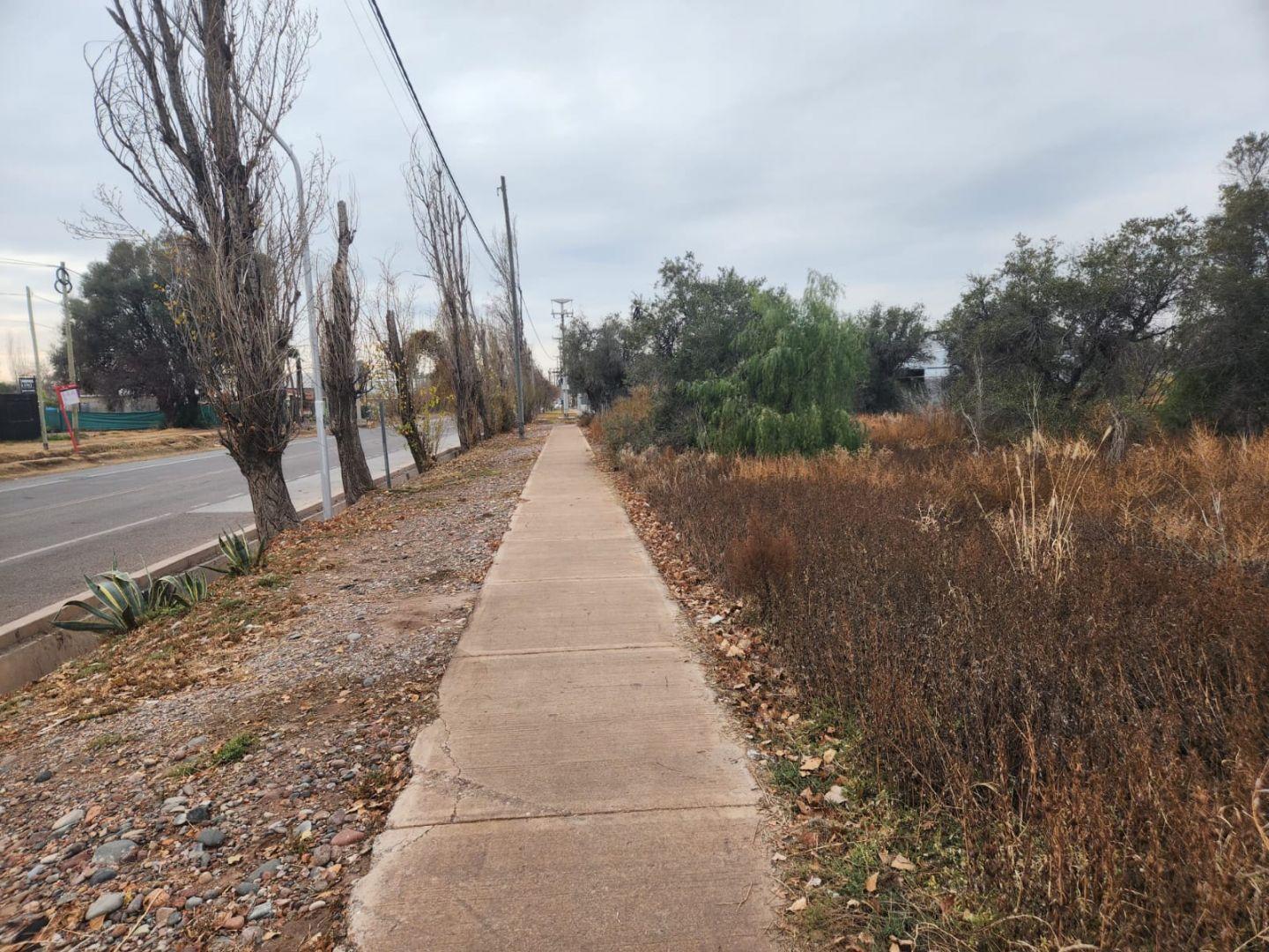 Foto de Terreno en Venta Carril Gómez, Coquimbito, Maipú, imagen 5