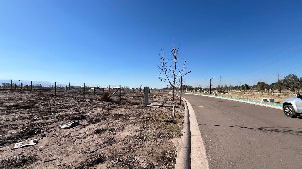 Foto de Lote 615 m² en Qvattro Viamonte | Chacras de Coria, Luján de Cuyo, imagen 5