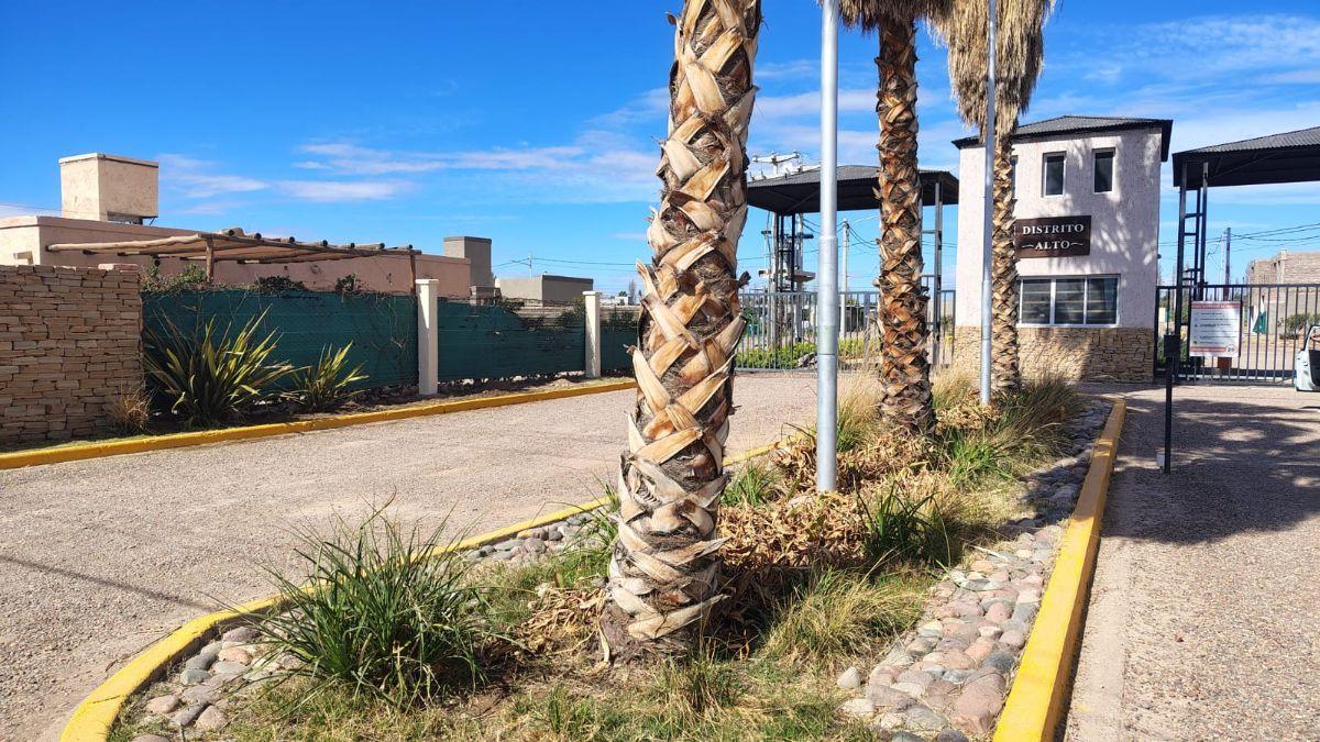 Foto de Gres Inmobiliaria Vende Terreno con Casa a terminar en Distrito Alto, imagen 5