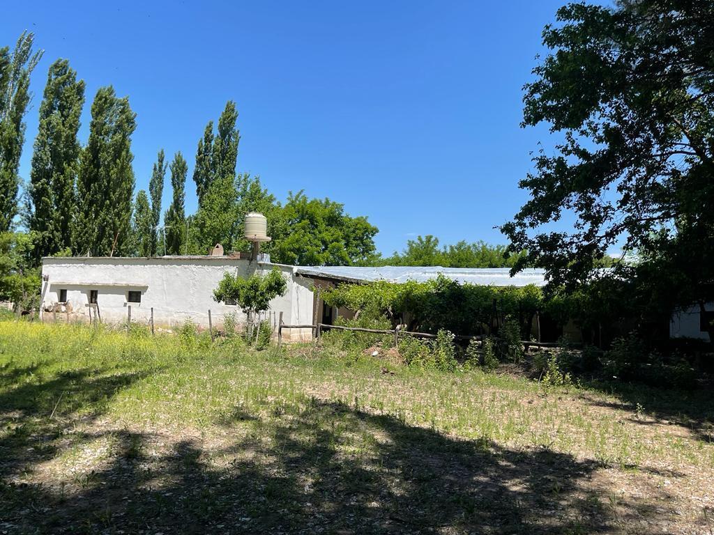 Casona Antigüa y Finca en Venta - Chilecito - San Carlos - Mendoza 1