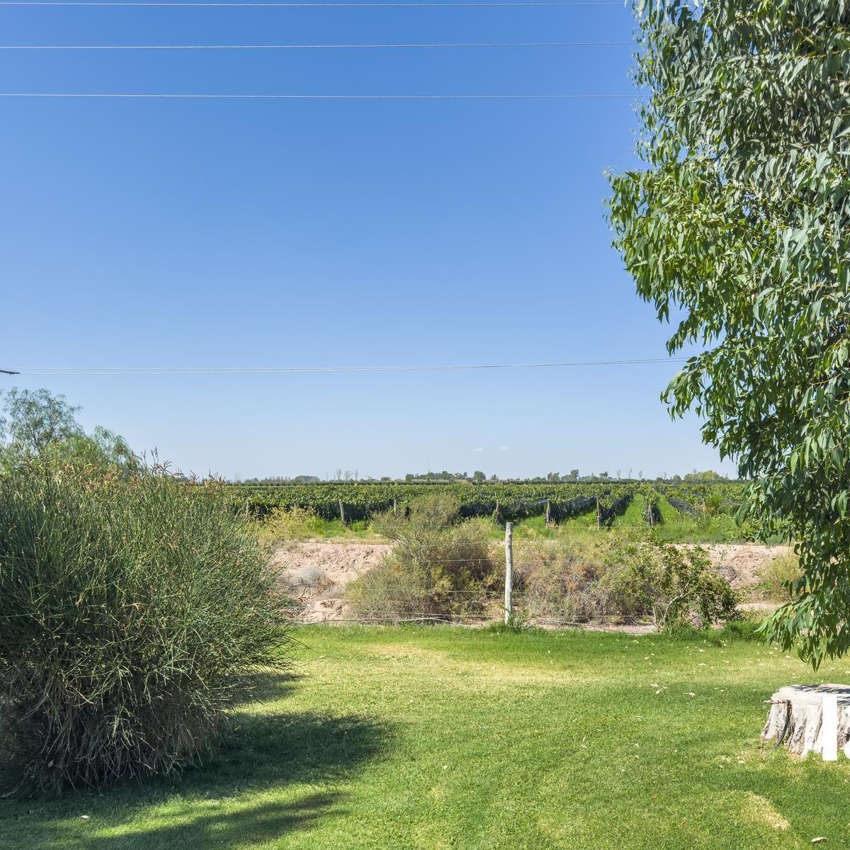 Finca Productiva en Ugarteche y Casa de Huespedes 2