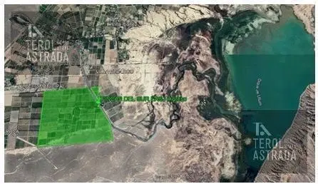 EXCEPCIONAL FINCA VITIVINÍCOLA EN EL VALLE DEL ULLÚM 5