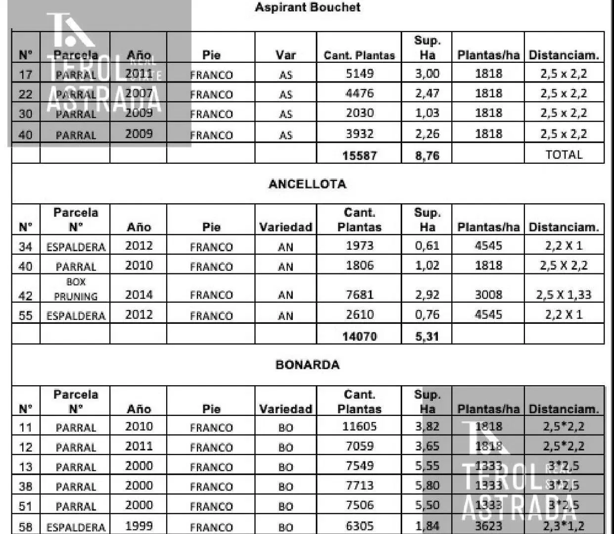 Plano 3
