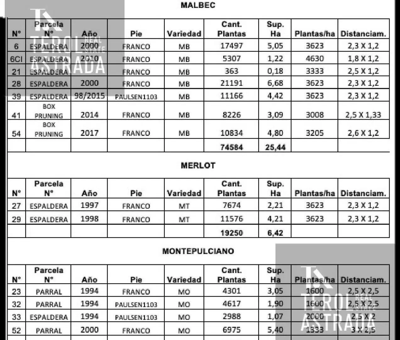 Plano 2