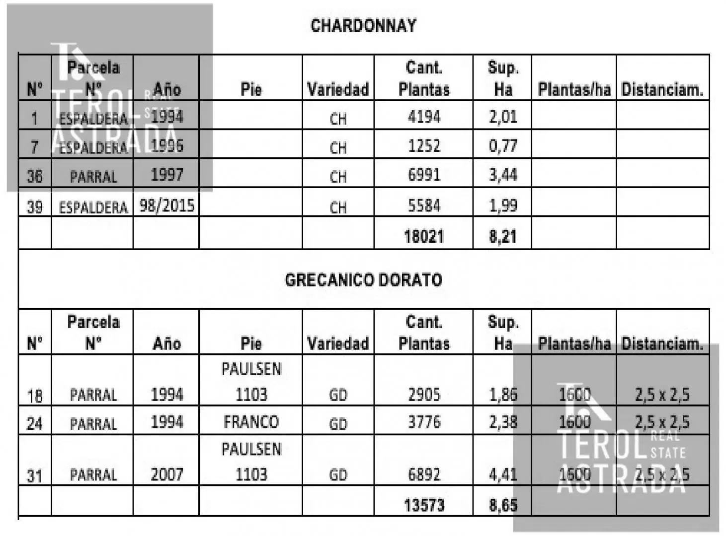Plano 5