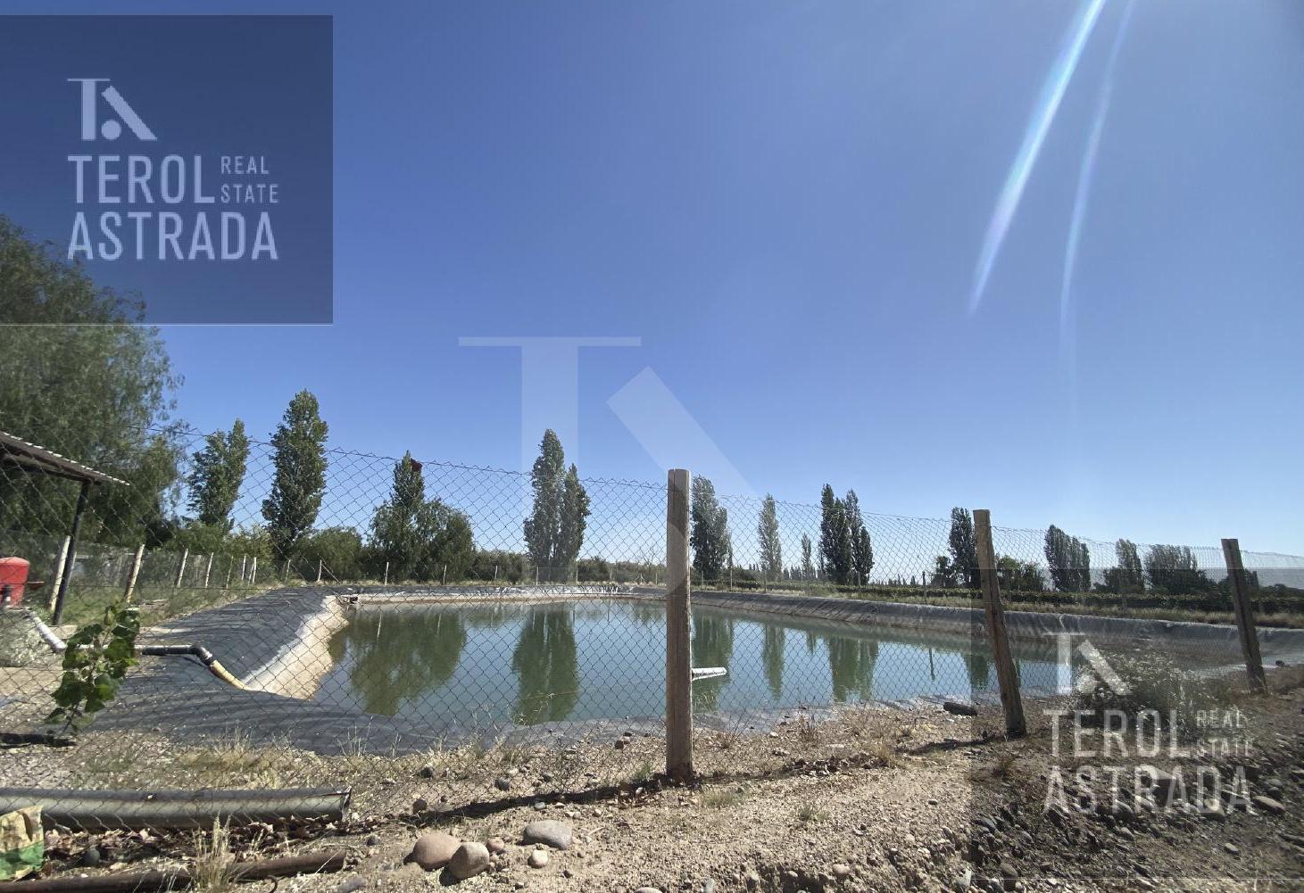 Foto de FINCA EN VENTA PARQUE CHACHINGO - MAIPÚ, imagen 3