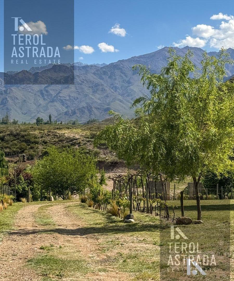 Foto de RESTARUANTE - VENTA- ZONA MANZANO HISTÓRICO- TUNUYÁN, imagen 2