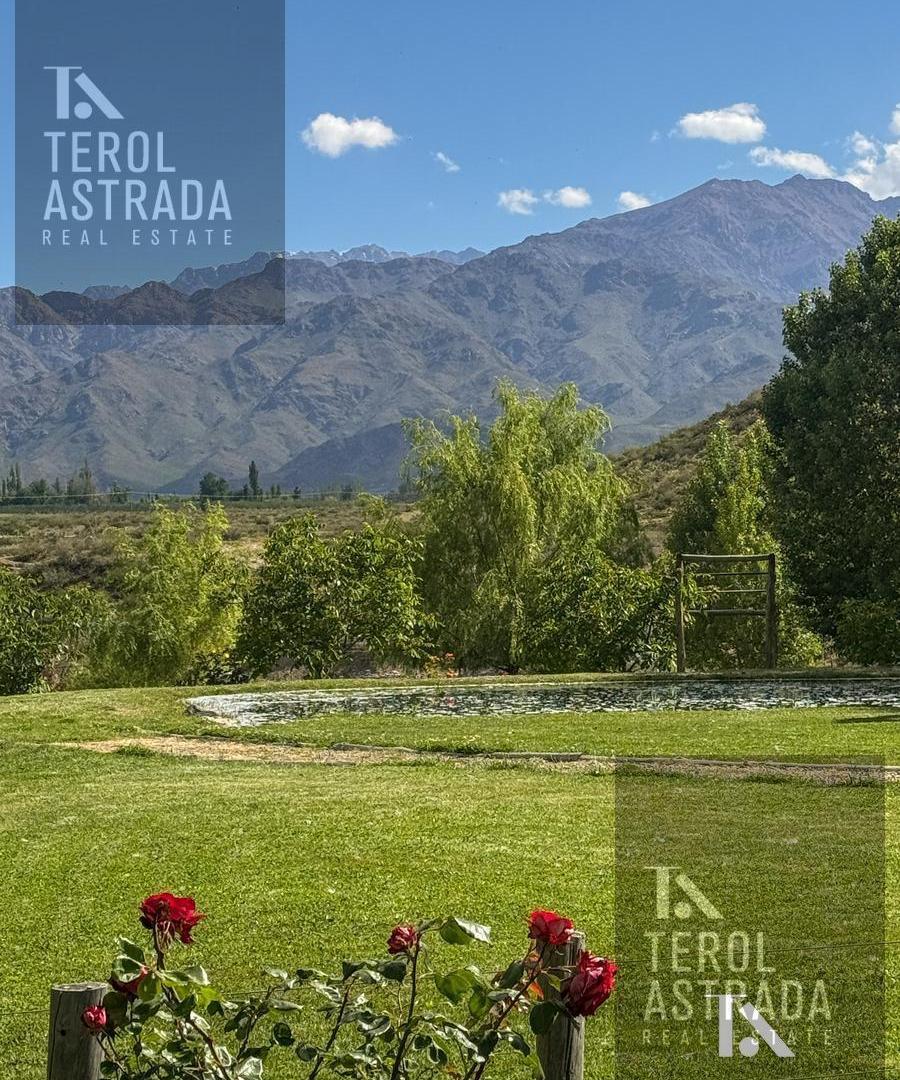 RESTARUANTE - VENTA- ZONA MANZANO HISTÓRICO- TUNUYÁN