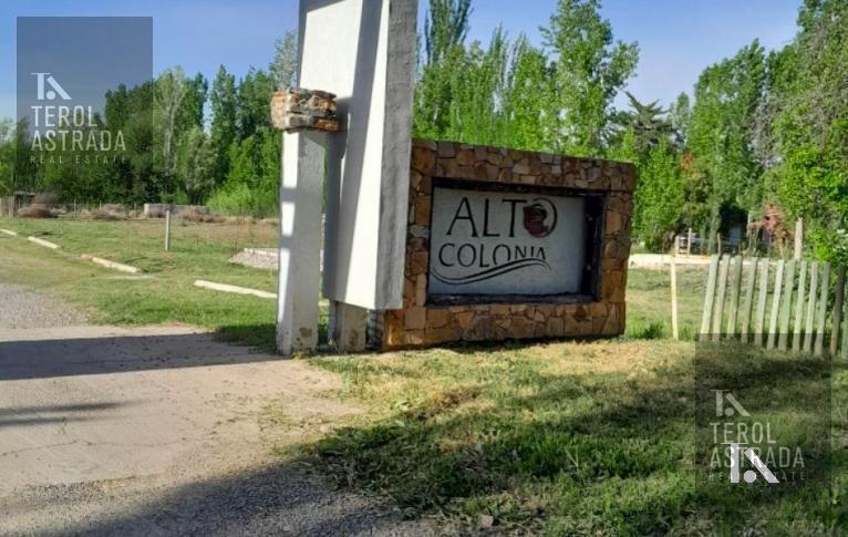Foto de LOTE - TERRENO - VENTA- COLONIA LAS ROSAS- TUNUYÁN - VALLE DE UCO, imagen 1