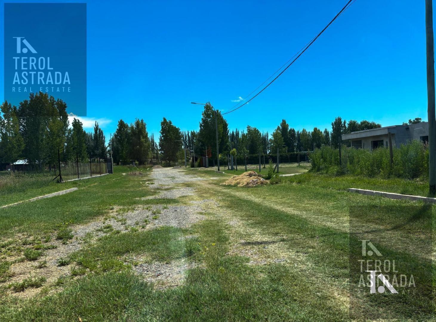 Foto de LOTE - TERRENO - VENTA- COLONIA LAS ROSAS- TUNUYÁN - VALLE DE UCO, imagen 5