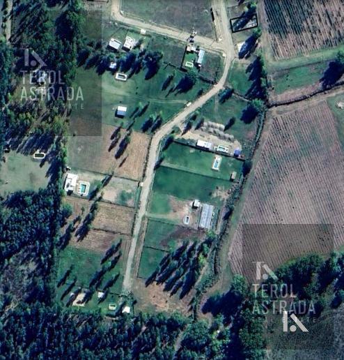 Foto de LOTE - TERRENO - VENTA- COLONIA LAS ROSAS- TUNUYÁN - VALLE DE UCO, imagen 3