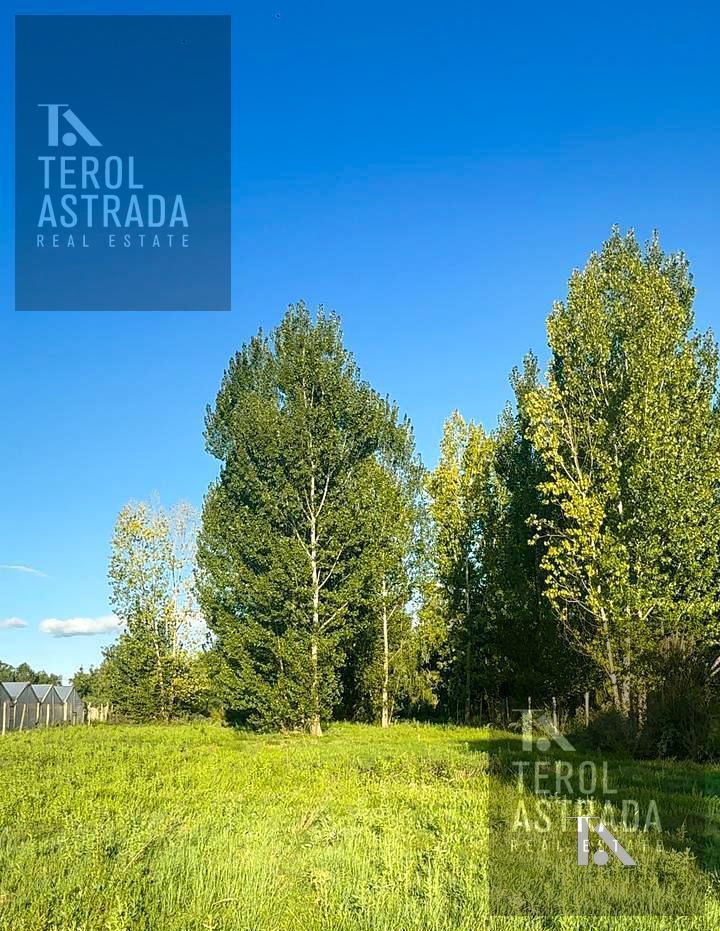 Foto de LOTE - TERRENO - VENTA- COLONIA LAS ROSAS- TUNUYÁN - VALLE DE UCO, imagen 2