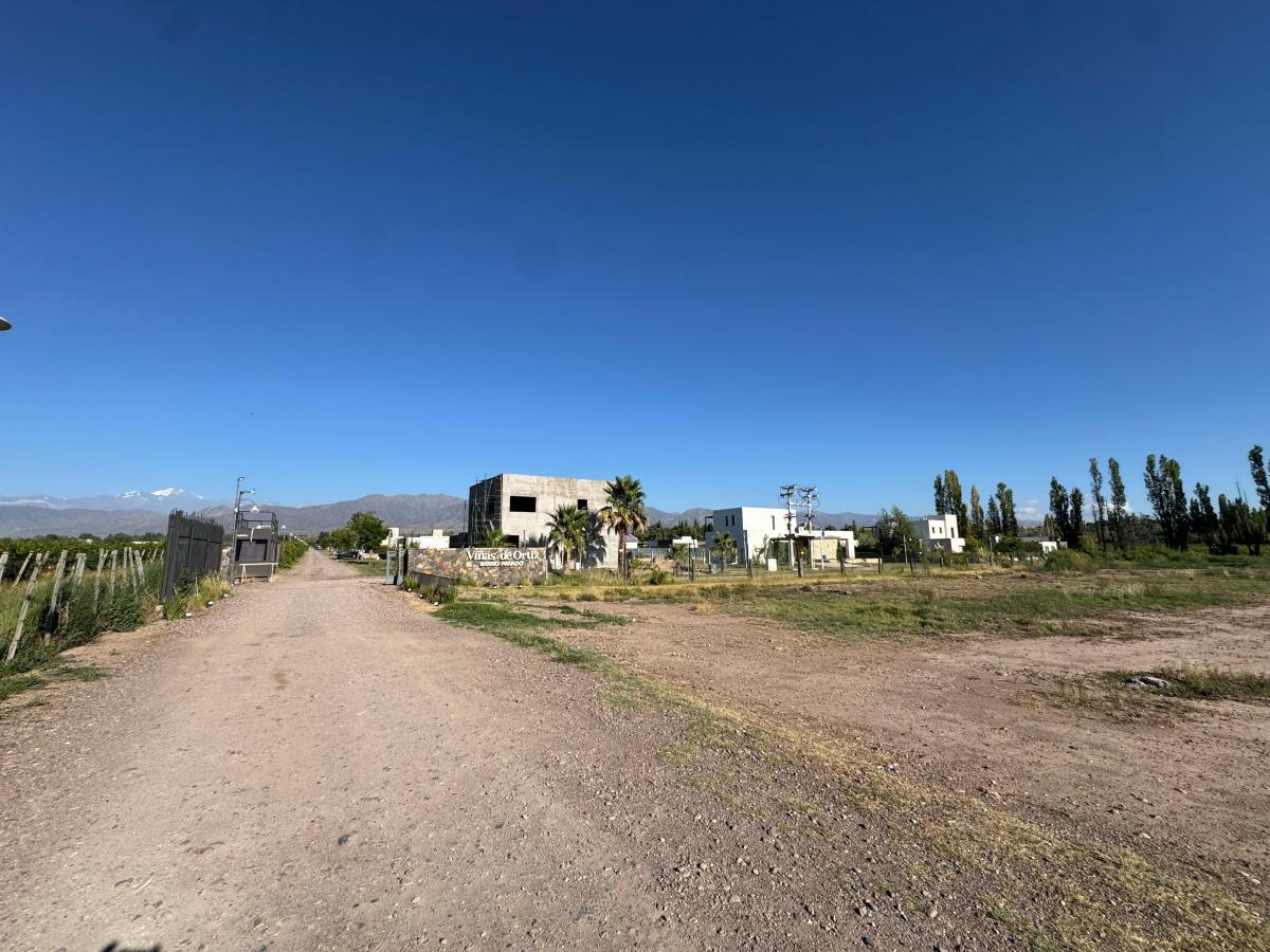 Viñas de Ortiza, Vistalba 4