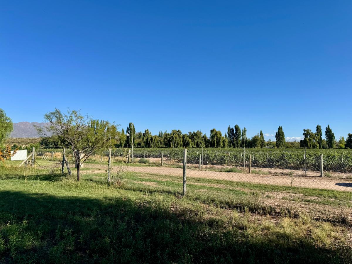 Viñas de Ortiza, Vistalba 5