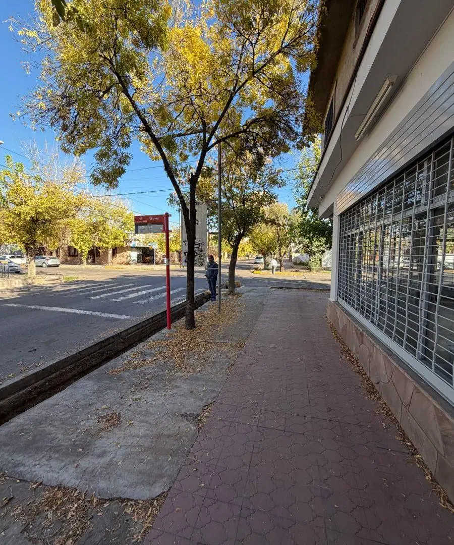 Lujan de Cuyo 5