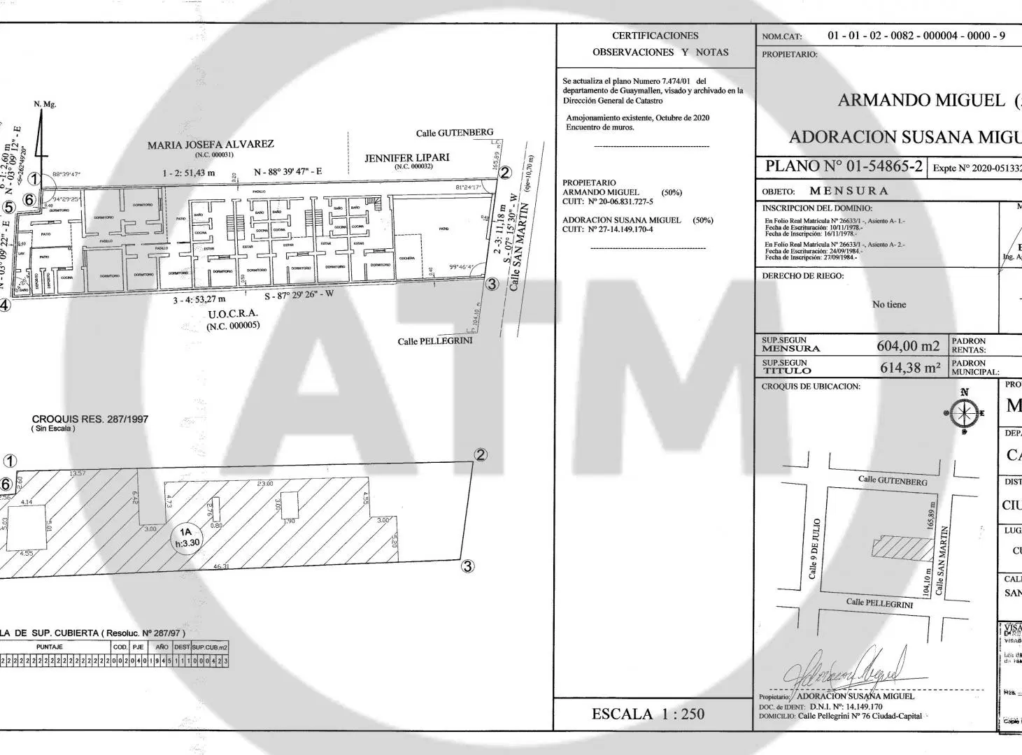 Plano 1