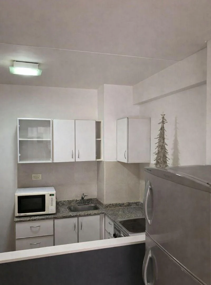 Foto de Monoambiente con patio super amplio, imagen 2
