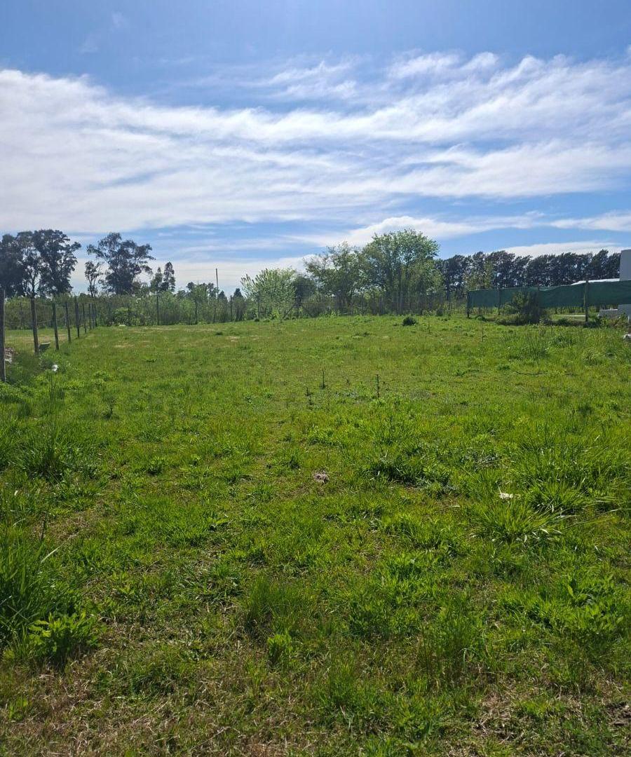 Foto de TERRENO EN VENTA | BARRIO TIERRA DEL ALBA, ABASTO, imagen 1