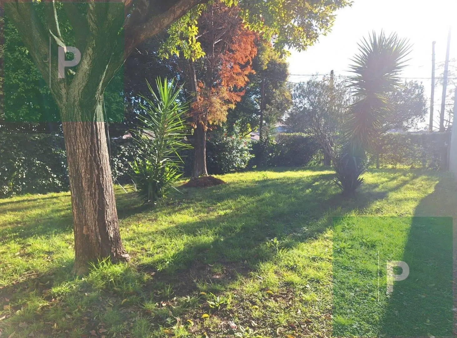 Local en Venta en esquina 46 y 150 sobre lote de 295 m2 8