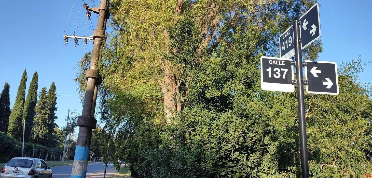 Lote en venta en Villa Elisa 137 y 419 8