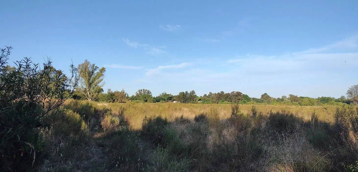 Lote en venta en Villa Elisa 137 y 419 1