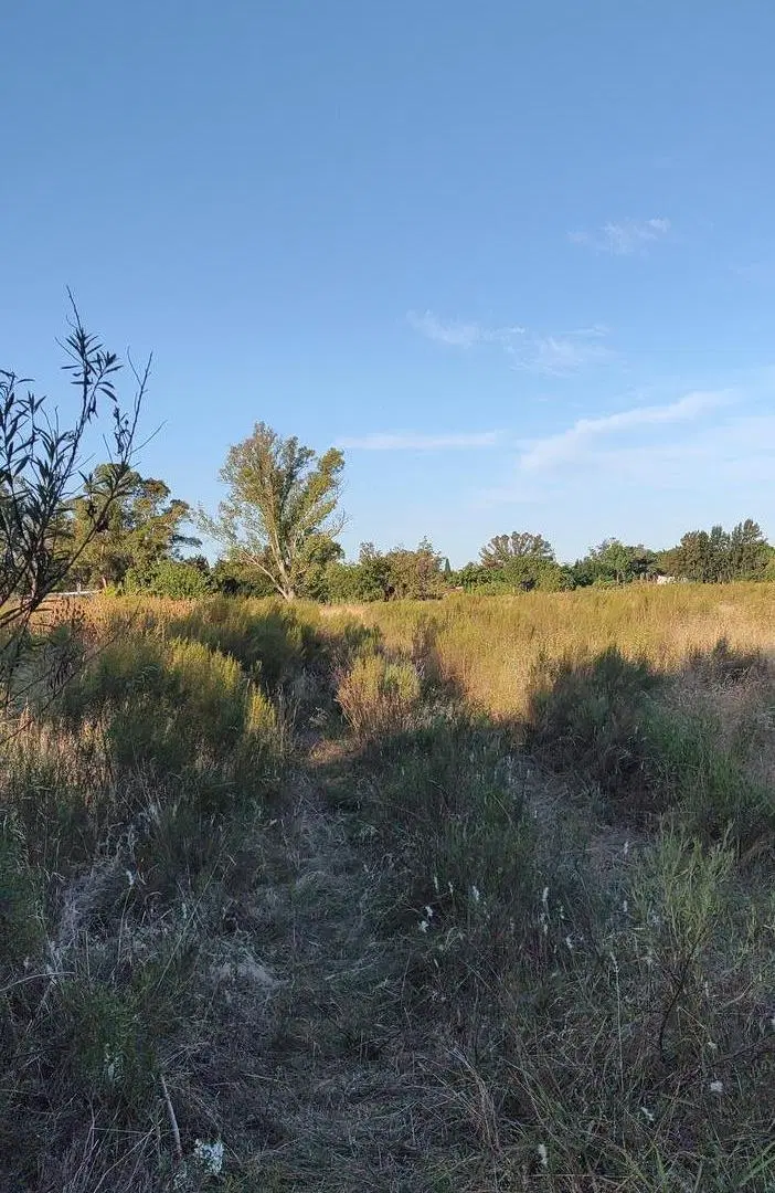 Lote en venta en Villa Elisa 137 y 419 3
