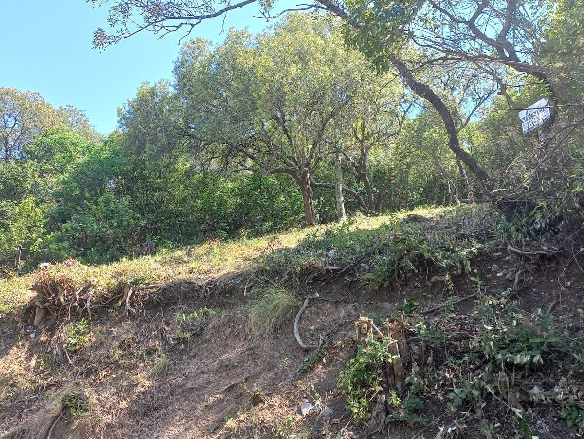 Lote a la venta en Cosquin. (L347)