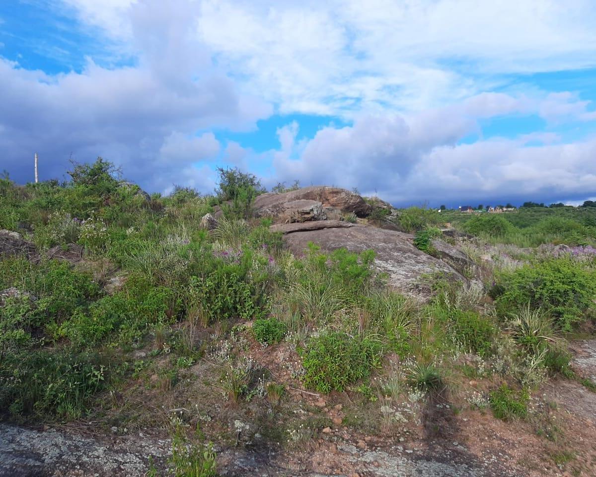 Lote a La Venta en Bialet Masse. (L352) 5