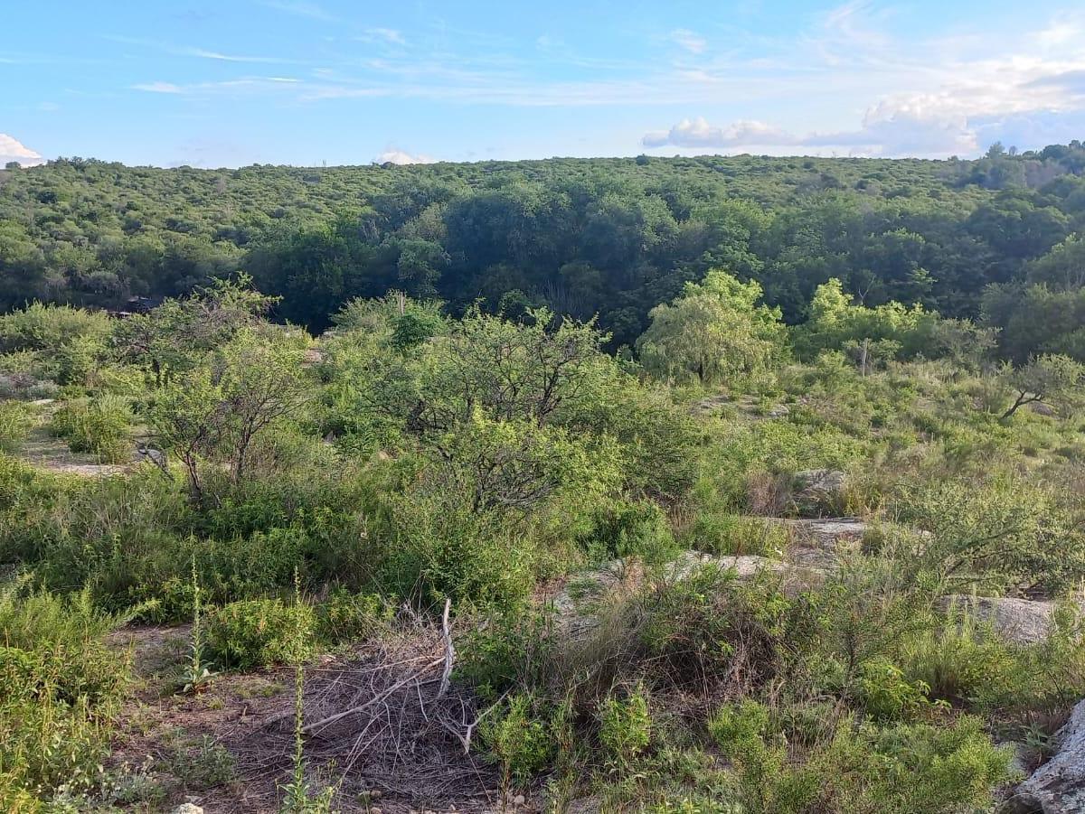 Lote a La Venta en Bialet Masse. (L352) 4