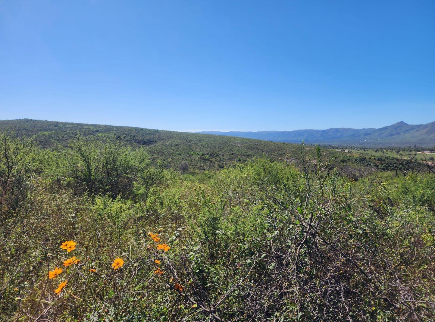 Lote a la venta en Bialet Masse. (L363)