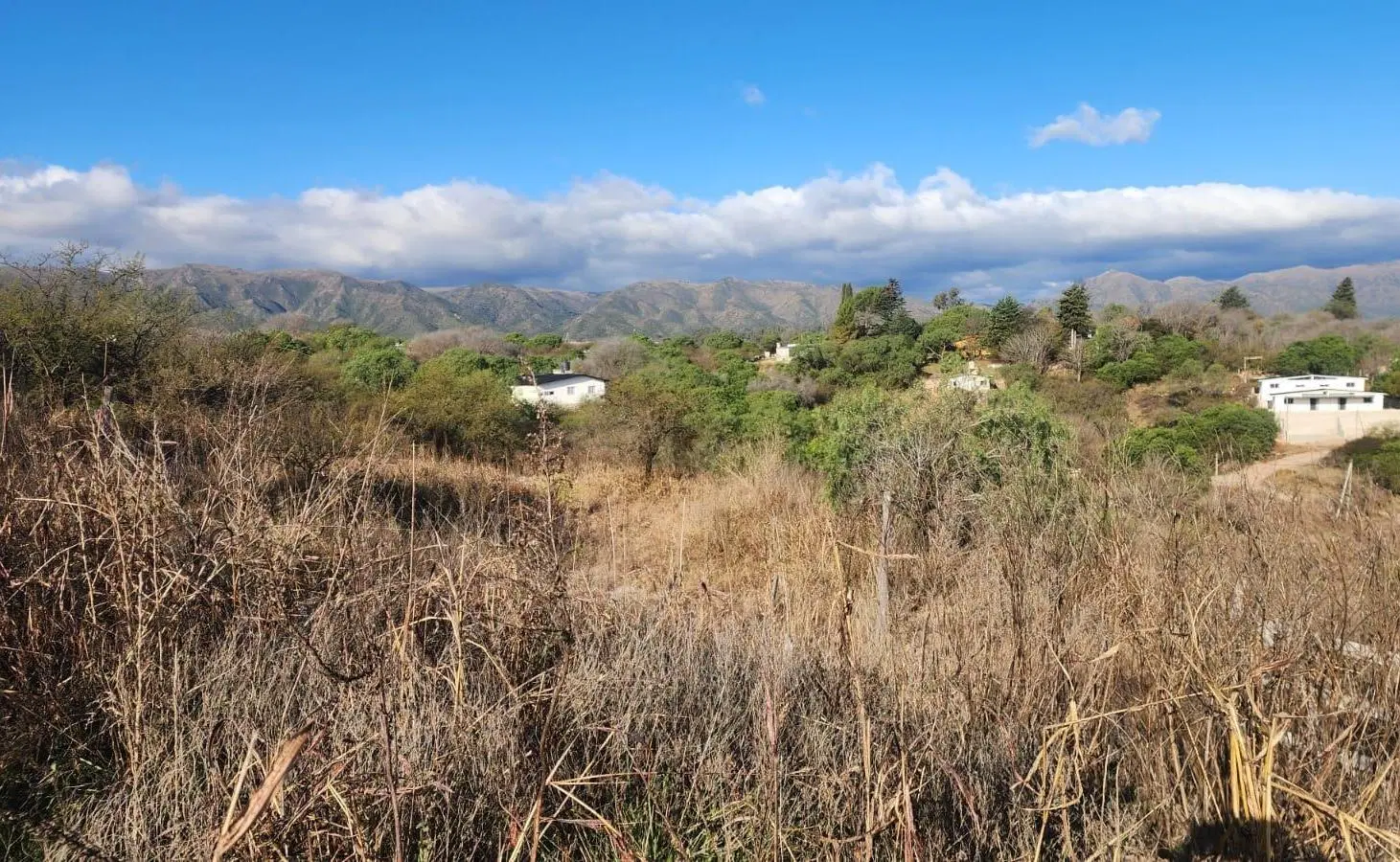 Lote a la venta en Molinari. (L428) 4
